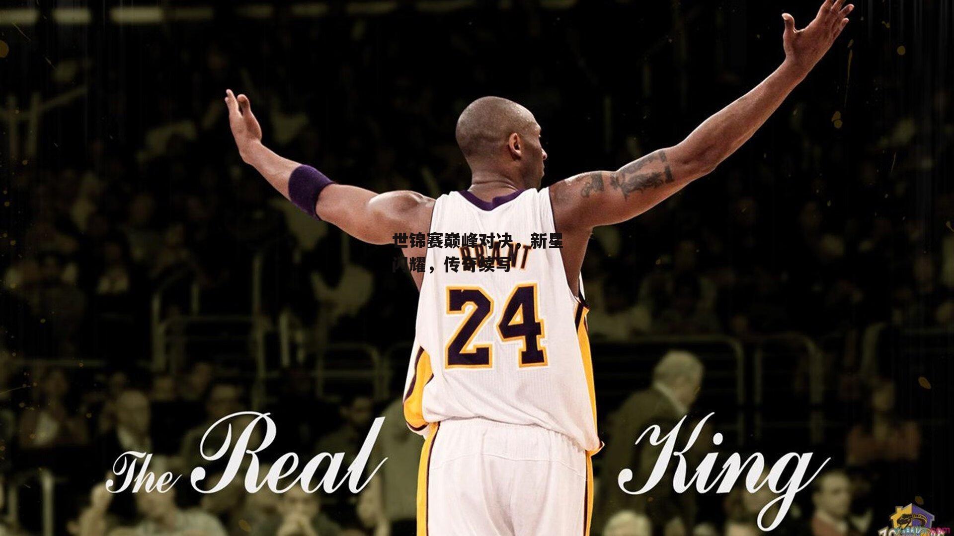 世锦赛巅峰对决<a href=