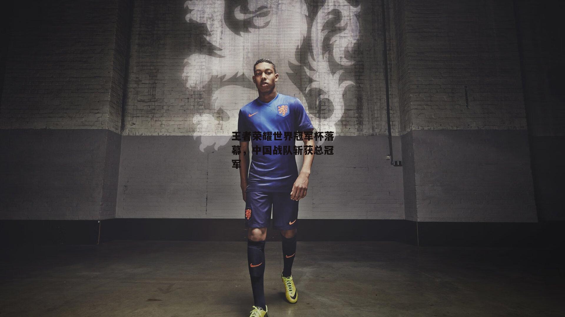 ng娱乐APP_王者荣耀世界冠军杯落幕，中国战队斩获总冠军