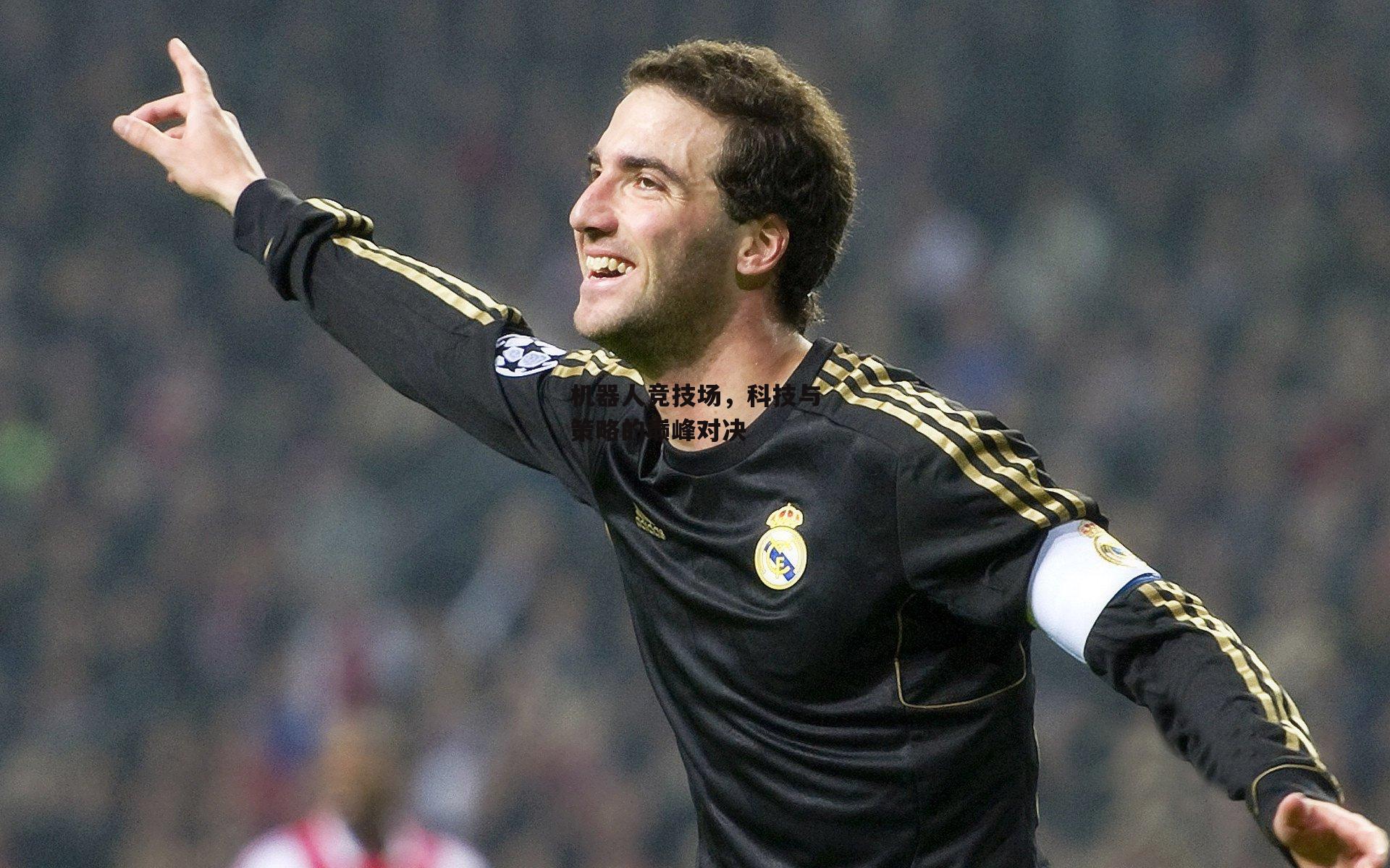 机器人竞技场,科技与策略的巅峰对决