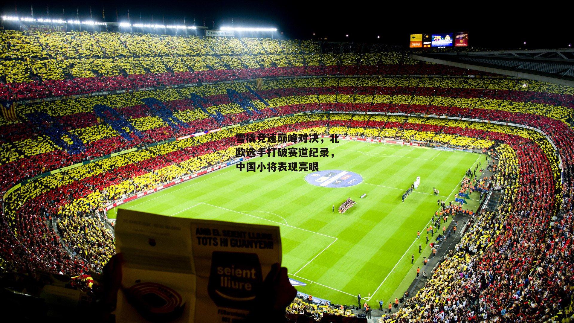 雪橇竞速巅峰对决，北欧选手打破赛道纪录，